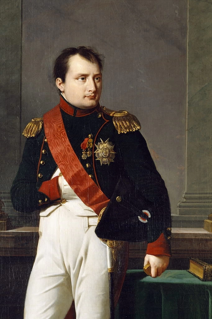Ritratto di Napoleone a figura intera - dettaglio